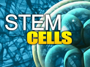 Stem Cells Boca Raton